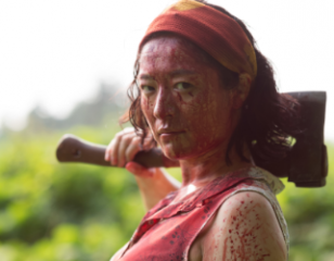 Ne coupez pas ! (One Cut of the Dead)