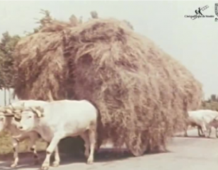 Rencontre avec la cinémathèque de Vendée